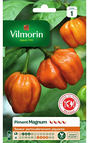 Sachet graines Piment Magnum orange