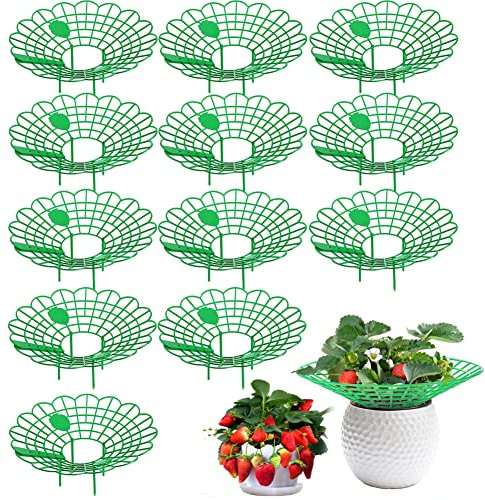 Lsydgn Erdbeerstützen Ständer 12 Stück,Erdbeeren Pflanzen Ständer,Erdbeer Reifer Klein,Balkon Erdbeernetze Pflanzenunterstützung für Erdbeeren Schutz,Grün