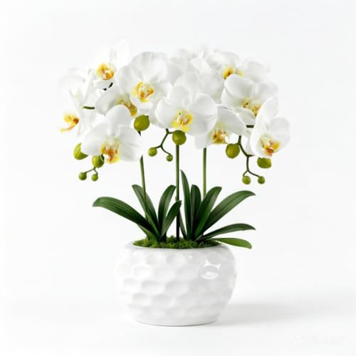 PlusFive Künstliche Orchideen im Topf - Weiße Phalaenopsis Kunstblumen aus Seide, Orchideen künstlich wie Echt für Innendekoration, Tischdekoration, Fensterbank Deko, Dekoration Wohnzimmer (47 cm)