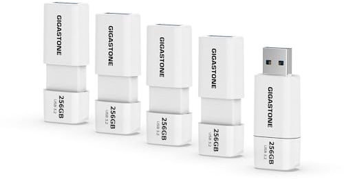 Gigastone Chiavetta USB 256 GB Set da 5, Z60 USB 3.2 Gen 1 Serie, R/W 120/80 MB/s alta velocità, Senza cappuccio con design retrattile, compatibile con interfaccia USB 2.0 / USB 3.0 / USB 3.1