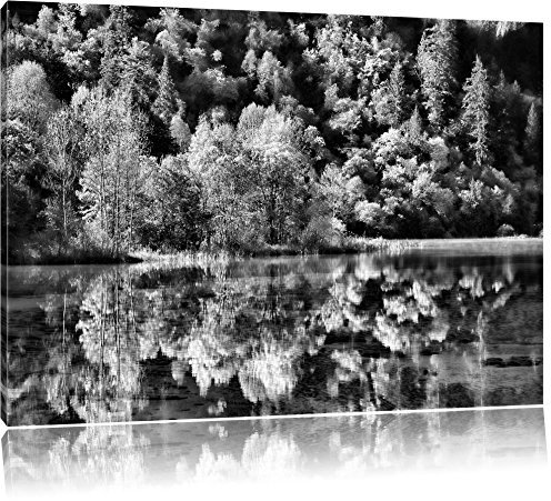 Pixxprint Monocrome, herbstlicher Wald am See, Größe: 80x60cm, Leinwandbild, fertig gespannt, Wandbild, Dekoration, Kunstdruck, kein Poster
