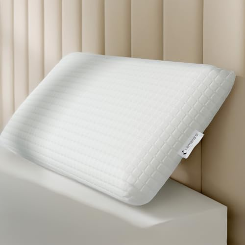 KAMASANA Oreiller Cervical Anatomique 40 x 60 - Hauteur 13 cm - Coussin Ergonomique Contre Les Douleurs Cervicales - Mémoire de Forme avec Technologie Antibactérienne - Hypoallergénique et Respirant