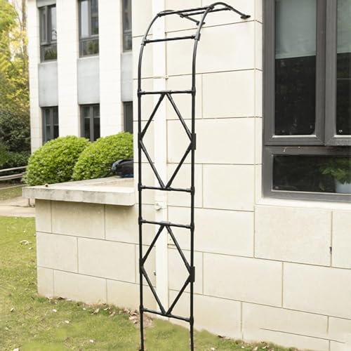 Demi arche de jardin en acier noir à fixation murale pour plantes grimpantes et fleurs - Arche décorative d'extérieur pour jardin, terrasse et cour - 60 x 240 cm (l x H)
