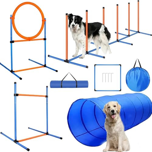 KALDJKS Agility Set Hunde, Teiliges Set Agility-Ausrüstung für Hunde, Slalom, Agility Hürde, Einstellbar Sprungring & Hundetunnel, Perfekt für den Park, Interessant Spiele, Hundetraining Spiele