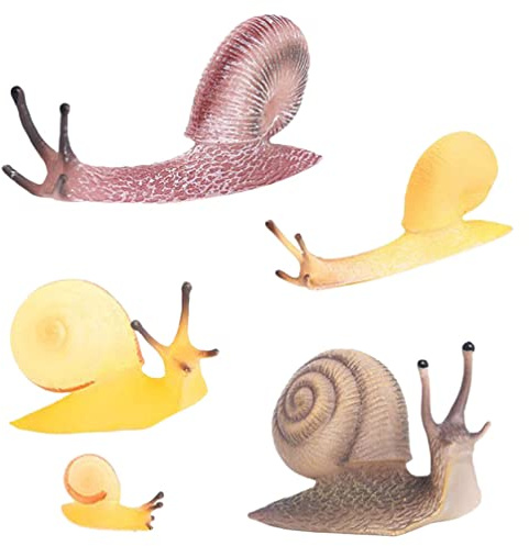 COHEALI Schleichtiere 5 Stücke Lebenszyklus Von Schnecke Tierfiguren Lebenszyklus Figuren Modell Schnecke Figur Figurinen Bildungsprojekt Diorama Modell Für Schnecken