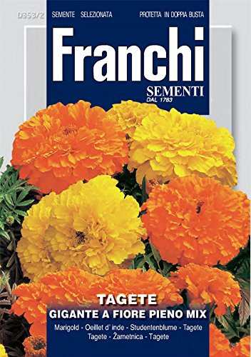 Franchi - FDBF_ 353-2 - Marigold - Tagete Gigantic A Fiore Pieno - Seeds