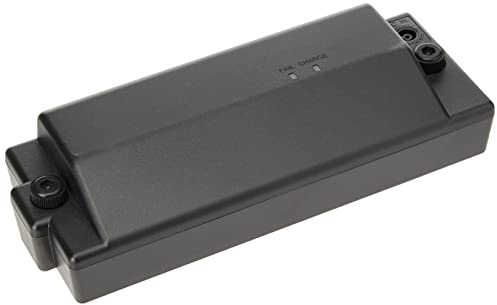 Batterie Rechargeable Power Pack pour amplis Roland (BTY-NIMH/A) – Batterie Rechargeable Officielle pour Certains amplis Roland Dont Les Cube Street EX, AC-33, KC-220 et BA-330