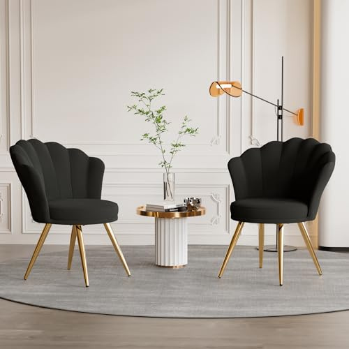 Aivermeil Esszimmerstühle 2er Set Samt Polsterstühle Schwarz | Muschelsessel mit Armlehnen,Schminktisch Stuhl,Polstersessel Elegant,kzentstuhl mit Gold Metallbeinen Accent Chair