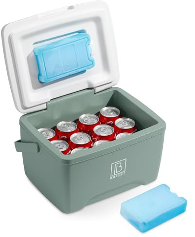 Brisby Kühlbox 8 Liter - 18 Stunden warm - 40 Stunden kühl - Inklusive 2 große Kühlelemente 450 ML -Kühltasche für Arbeit, Camping, Grillen oder Urlaub – BPA-frei