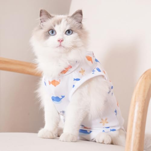 Body para gatos, manga anti-lamido, body quirúrgico adecuado gatitos con una circunferencia torácica de 33 cm, longitud dorsal 26 cm y un peso 2-4 kg (talla M).
