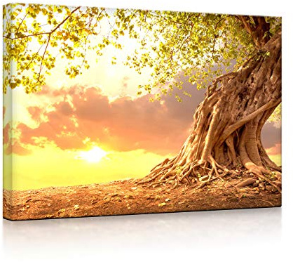 lightbox multicolor | Beleuchtetes Wandbild | Verwurzelter starker Baum im Sonnenuntergang | 100x70 cm | Front Lighted
