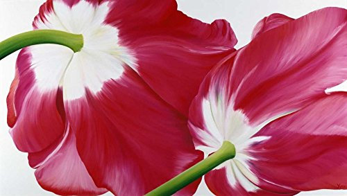Feeling at home KUNSTDRUCK auf MATTE PAPIER 220gr Tulipa Poelstra-Holzhaus Yvonne - europäisch horizontal Poster Tulpen Long Red Orange Modern Bild auf Papier cm_56_X_100