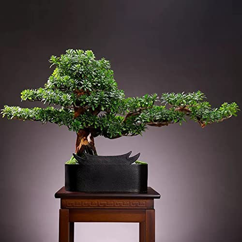 Artificial Plants Artificial Tree Fake Plant in Black Pot Artificial Plants Faux Bonsai Japanese Pine Bonsai Artificial Plants for Home Decor Indoor Office Desktop Display, Zen Garden Décor Fake Plant