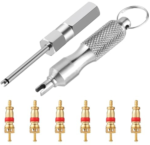 Schrader Valve Core Remover & Stem Puller Tool Set - Stainless Steel Tire Valve Removal Kit for Car/Truck/Bicycle, 6 Pcs Valve Cores Included Tyre Repair & Installation Tools