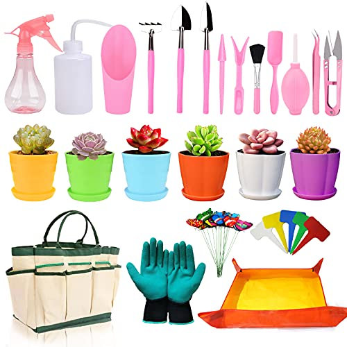 Calofun Sukkulenten-Werkzeug-Set – 40-teiliges Gartenwerkzeug-Set inklusive Arbeitsmatte für Sukkulenten, Blumentöpfe, Garten-Handwerkzeug-Set mit Organizer-Tasche, perfekt für Anfänger in Sukkulenten