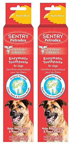 Petrodex Enzymatic Toothpaste for Dogs - Poultry Flavor, 2.5-Ounce, 2 Pack