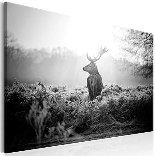 decomonkey Bilder Tiere Hirsch 90x60 cm 1 Teilig Leinwandbilder Bild auf Leinwand Vlies Wandbild Kunstdruck Wanddeko Wand Wohnzimmer Wanddekoration Deko Natur Landschaft