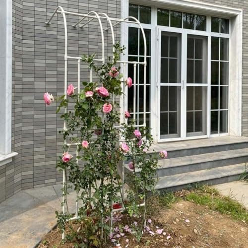 Arco Decorativo para Rosas Arco de jardín con Estructura de Metal, Arco de jardín con Plantas, Arco de Pared para jardín al Aire Libre, Arco de Enrejado, Soporte para Rosas trepadoras, fácil