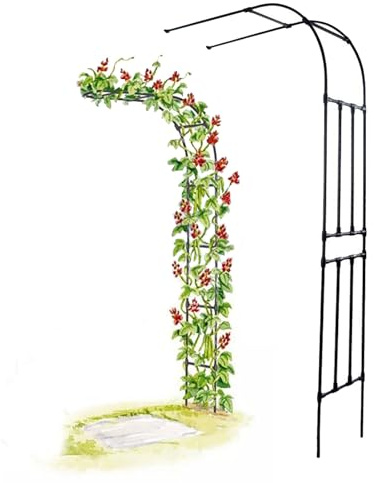 Garten Metall Halbbogen Rankgitter für Kletterpflanzen Pergola Torbogen verstellbar Breite 60 300 cm Höhe 240 cm (B200xH240cm B6.5xH7.2.7m)
