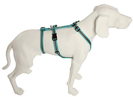Feltmann No Exit ausbruchsicheres Hundegeschirr für Angsthund, Sicherheitsgeschirr für Pflegehunde, Panikgeschirr, Soft Grip, türkis/braun, Bauchumfang 70-90 cm, 25 mm Bandbreite