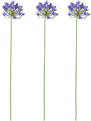 NNXHWY 3 Stück Künstliche Agapanthus-Blumen, 76,2 cm Künstliche Blumenzweige für Vasen, Künstliche Afrikanische Lilien-Seidenblumen, Lange Stiel-Kunstblumen, Seidenblumen für Frühling,(Blau)