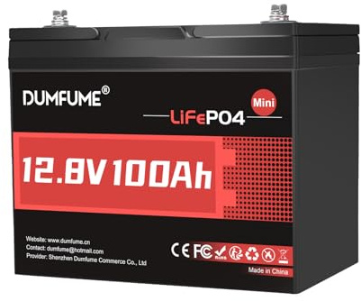 Dumfume Batterie Lithium Lifepo4 Mini 12V 100Ah - BMS 100A, 1280Wh, Batterie Rechargeable à DéCharge Profonde, DuréE De Vie De 10 Ans pour Camping-Car, Solaire Et Stockage D'éNergie Domestique