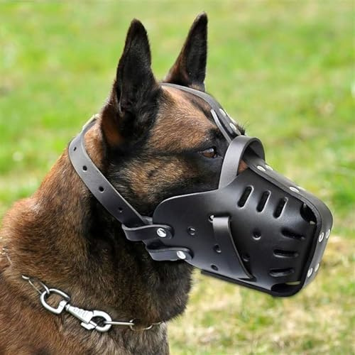 Maulkorb für Deutschen Schäferhund Malinois, Leder-Mundschutz zum Beißen, Kauen, Fellpflege, verstellbar, atmungsaktiv, für mittelgroße und große Hunde, schwarz, Halsumfang – 35 x 50 cm