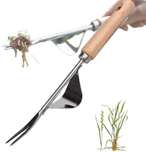 BAOSROY Unkrautstecher Edelstahl,Manueller Unkrautjäter,Wurzeljäter mit Holzgriff,Fugenkratzer mit Stiel,Fugenkratzer Unkraut Garten,Fugenreiniger Unkrautkratzer Manueller Weeder,für Jäten,Lösen