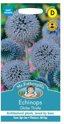 Mr Fothergill?s Seeds Ltd 18285 Flower Seeds, ECHINOPS Globe Thistle, Blue