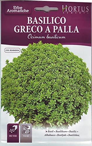 BASILICO GRECO A PALLA HORTUS BUSTA