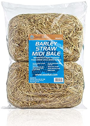 Swell Barley Straw Midi 2 pack. Barley Straw for Ponds to act as Pond Cleaner and Algae Treatment