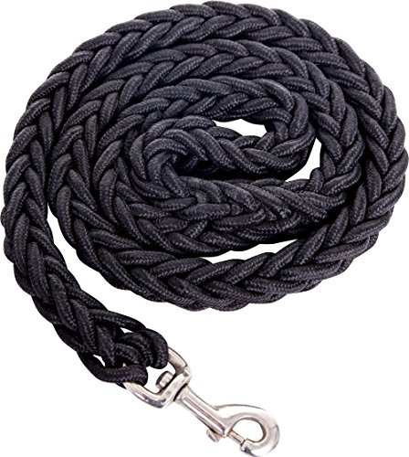 Extrem Starke Hundeleine für große Hunde 2 cm dick 120 cm lang sehr belastbar mit Karabiner, aus Nylon, geflochten robust und wetterfest (schwarz)