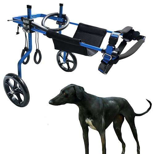 KAJILE Justerbar 2-hjuls hundvagn, XL-2 storlek för rehabilitering av funktionshindrade Hund Bakben, passform Höjd 50-65cm, bredd 21-28cm, längd 30-40cm