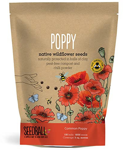 SEEDBALL Poppy Seed Bombs – 100 Seed Balls Per Pack | Bursting with Beautiful Red Poppy Flowers | Clay Protected for Bees, Butterflies, Birds & Other Garden Wildlife