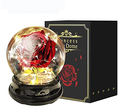 OhMill Rose Éternelle sous Cloche Rose en Velours de Soie dans Un Abat-Jour Pet Rose Artificielle avec Lumières LED Cadeau élégante pour Anniversaire Saint-Valentin Fête des Mères 16x12cm Rouge