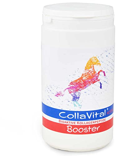 CollaVital® Horse Booster Kollagen TYP 2 Pulver 200 g - Gelenkpulver aus bioaktiven Kollagen Hydrolysat für Pferde 200g bioaktive Kollagenpeptide mit Chondroitinsulfat und Hyaluronsäure DE Germany