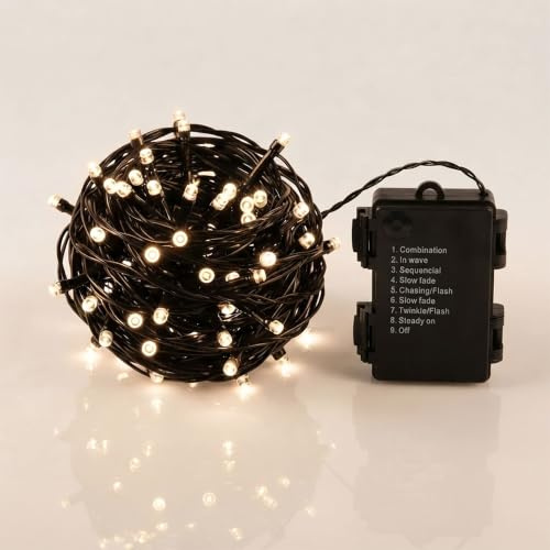 LED Lichterkette warm weiß mit Dual Timer - 40 LED / 3 m - Weihnachts Beleuchtung für den Innen- und Außenbereich - Advent Winter Garten Deko mit Zeitschaltuhr für Morgens/Abends