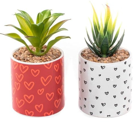 ROCKING GIFTS Cactus en Maceta Corazones x2 Modelos, 9 cm