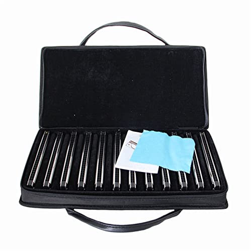 Standard Mundharmonikas Tremolo-Mundharmonika 12 Stück/Set AA# BCC# DD# EFF# GG# 24-Loch-All-Tunes-Mundharmonika-Set