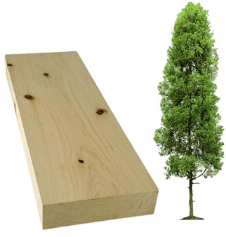 ARMLAZER Blocchi di Legno Morbido per Intaglio, Profumati di Cipresso Toscano, Artigianato (1 pezzo 3x10x30)