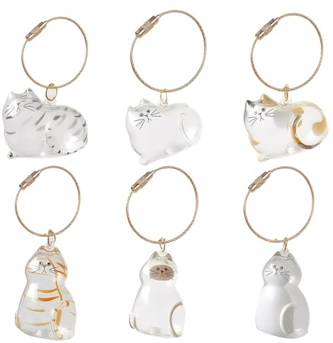 GONZTEL 6 pièces Poil de Chat Porte Clef, Médaillon Souvenir pour Animaux, Porte-clés en Poils d'animauxm, Boîte de Rangement en Acrylique Transparent pour Poils d'Animaux