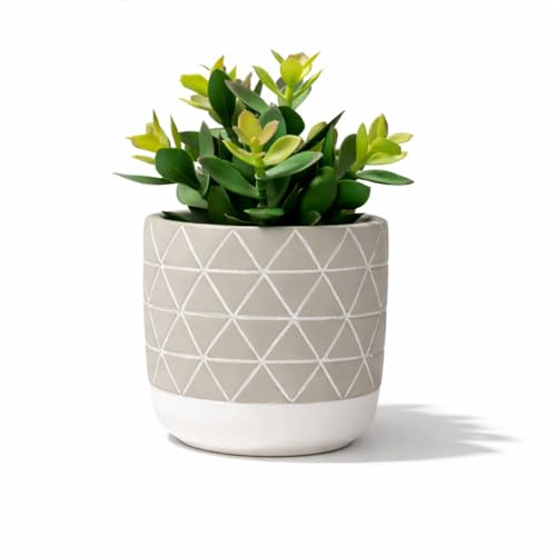 Kurrajong Farmhouse Cement Pot with Beautiful Artificial Succulent Plant