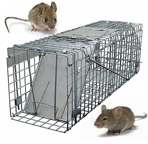 Humane Cat Trap Live Animal Trap Cage Rabbit Trap Humane Mouse Trap Live Traps for Raccoons Small Animal Trap Squirrel Traps Outdoor Groundhog Trap, 24'' Steel Catch and Release Rodent Cage