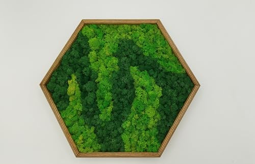 LoveLasy Bicolor Moos Wandbild Hexagon für Zuhause und Büro, Moosbild, stabilisiertes Moos (groß)
