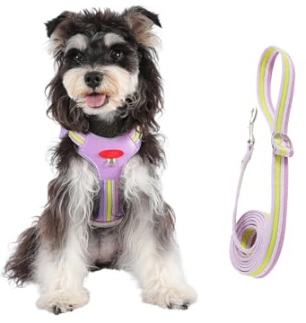 Hundsele | Bekväma justerbara husdjurstillbehör med blixtlåsväska | Valpsele dragrep set, för valp utomhus dagliga utomhusaktiviteter promenader löpning shopping