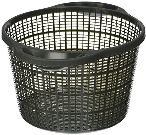 Laguna Round Planting Basket, 8.3 Diameter, 5.1 Tall