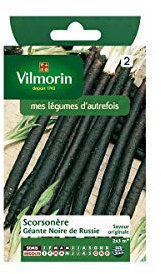 Vilmorin - Sachet graines Scorsonère Géante noire de russie