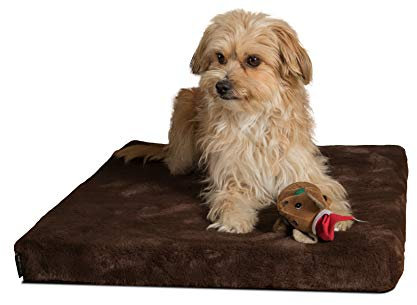 TrendPet VitaMedog - Viskoelastische Matratze Hundebett für Hunde braun (50x35cm)
