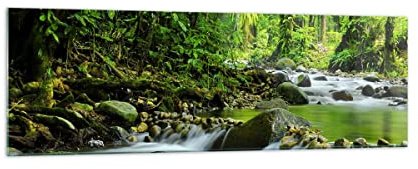ARTTOR Bilder auf Glas 160x50cm Wandbild Glasdruck Landschaften Wald - 0174 | Strom Natur Panorama Groß XXL Modern Dekoration Wohnzimmer Schlafzimmer Küche Wanddeko Kunstdruck Art Wall Decor ARTTOR