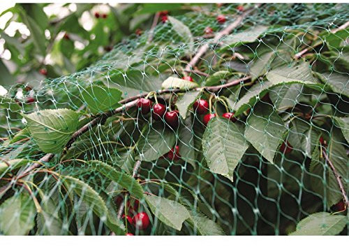 Nortene 120012 5380 Filet anti-oiseaux 4 x 12 m vert